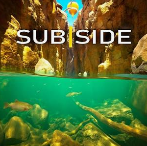 Subside PCVR